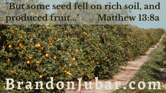 "But some seed fell on rich soil, and produced fruit..." Matthew 13:8a